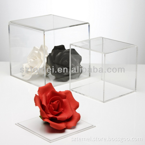 five-sided acrylic display cube